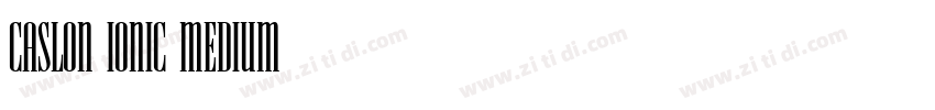 Caslon Ionic Medium字体转换